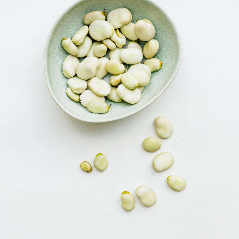 pea protein